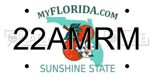 22AMRM Florida License Plate
