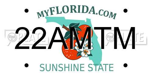 22AMTM Florida License Plate