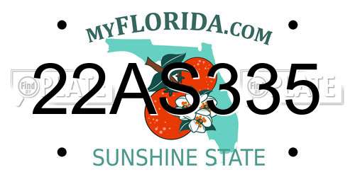 22AS335 Florida License Plate