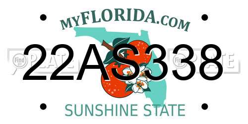 22AS338 Florida License Plate