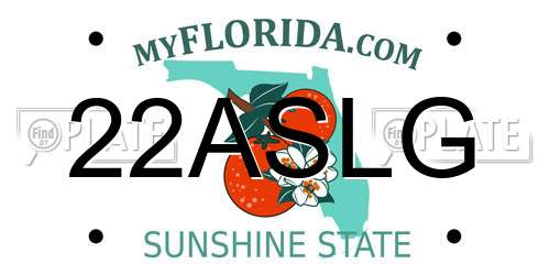 22ASLG Florida License Plate