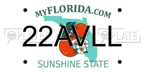 22AVLL Florida License Plate