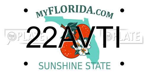 22AVTI Florida License Plate