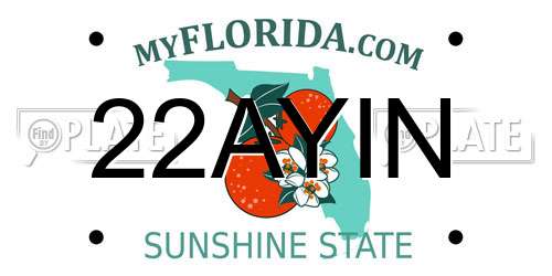 22AYIN Florida License Plate