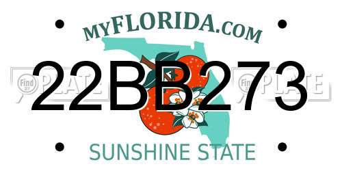 22BB273 Florida License Plate