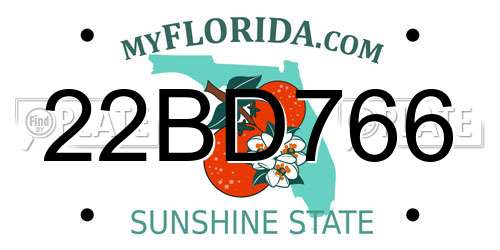 22BD766 Florida License Plate