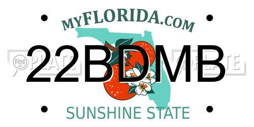 22BDMB Florida License Plate
