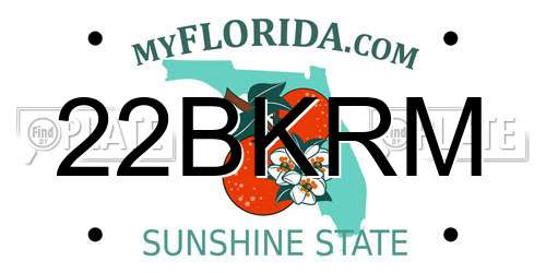 22BKRM Florida License Plate