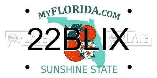 22BLIX Florida License Plate