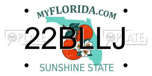 22BLLJ Florida License Plate