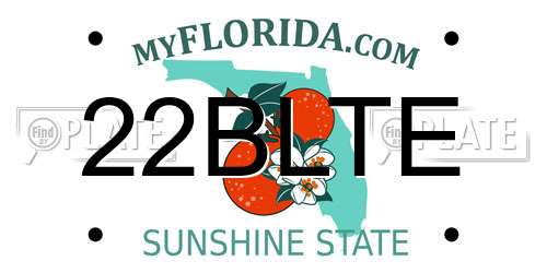 22BLTE Florida License Plate