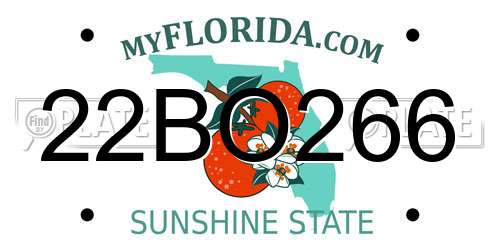 22BO266 Florida License Plate