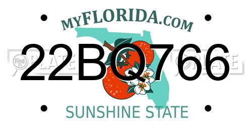 22BQ766 Florida License Plate