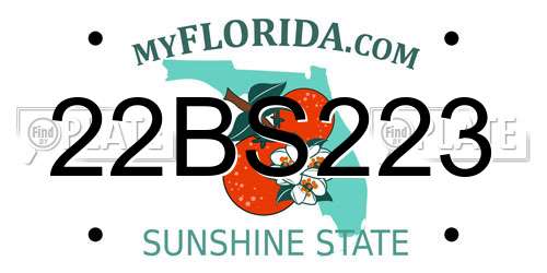 22BS223 Florida License Plate