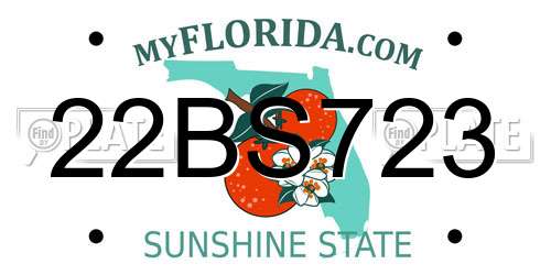22BS723 Florida License Plate