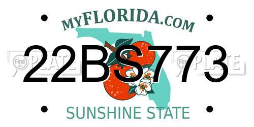 22BS773 Florida License Plate