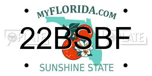 22BSBF Florida License Plate
