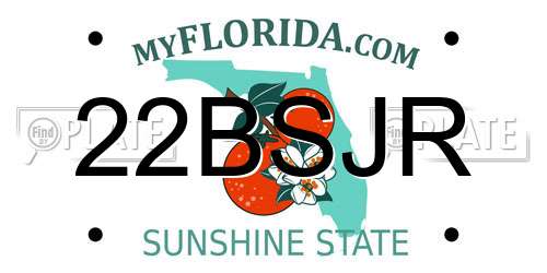 22BSJR Florida License Plate