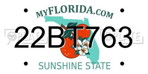 22BT763 Florida License Plate
