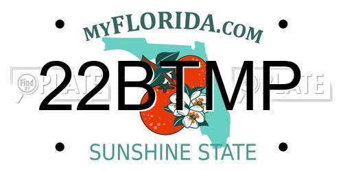 22BTMP Florida License Plate
