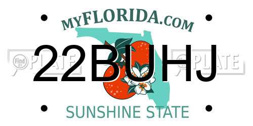 22BUHJ Florida License Plate