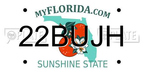 22BUJH Florida License Plate