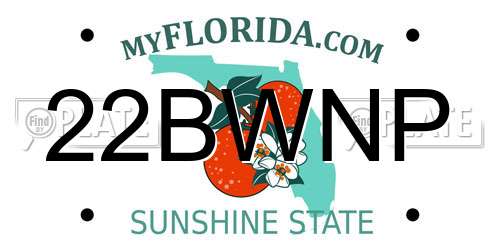 22BWNP Florida License Plate