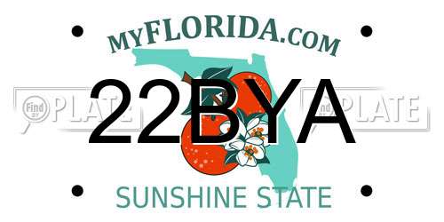 22BYA Florida License Plate