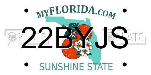 22BYJS Florida License Plate