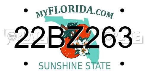 22BZ263 Florida License Plate