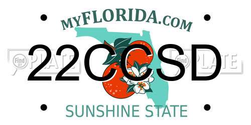22CCSD Florida License Plate