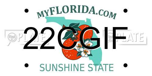 22CGIF Florida License Plate