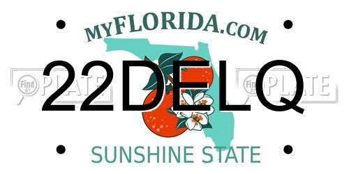22DELQ Florida License Plate