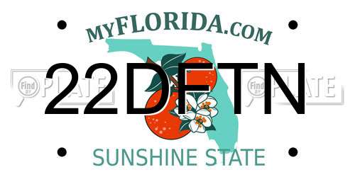 22DFTN Florida License Plate