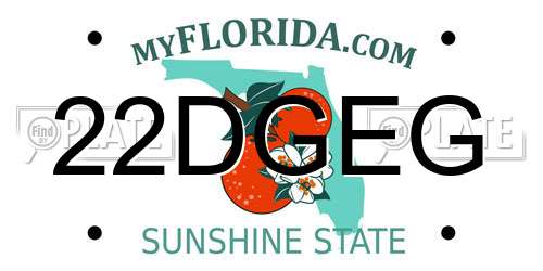 22DGEG Florida License Plate