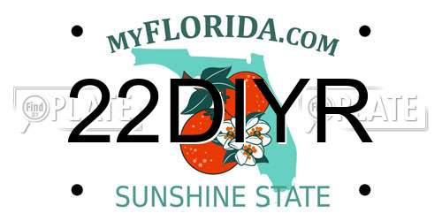 22DIYR Florida License Plate
