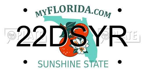 22DSYR Florida License Plate