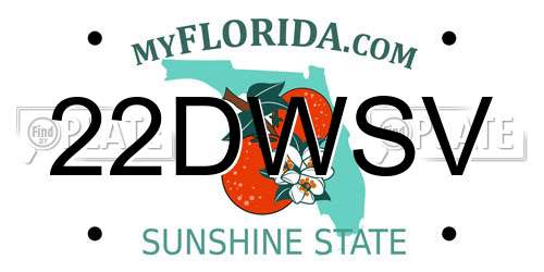 22DWSV Florida License Plate