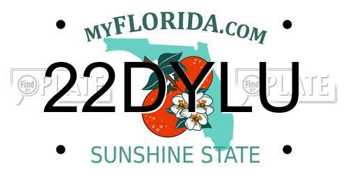 22DYLU Florida License Plate