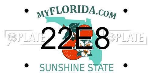 22E8 Florida License Plate