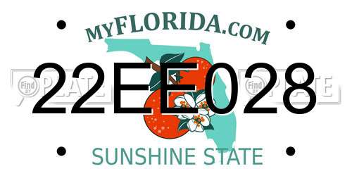 22EE028 Florida License Plate