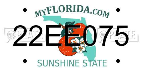 22EE075 Florida License Plate