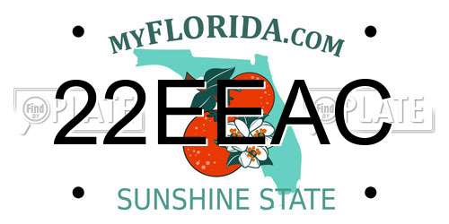 22EEAC Florida License Plate