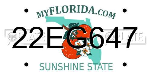 22EG647 Florida License Plate
