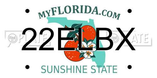 22ELBX Florida License Plate