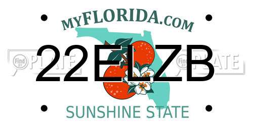 22ELZB Florida License Plate