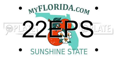 22EPS Florida License Plate