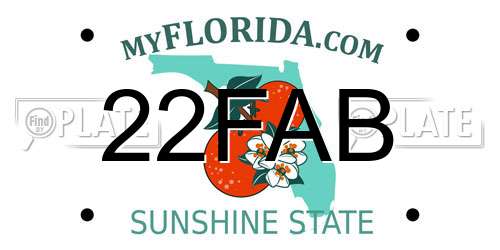 22FAB Florida License Plate