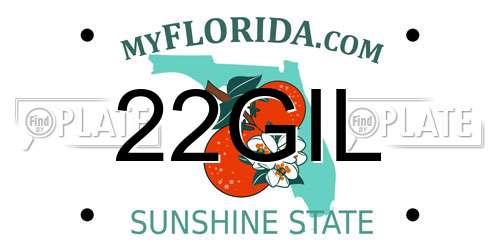 22GIL Florida License Plate