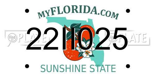 22II025 Florida License Plate